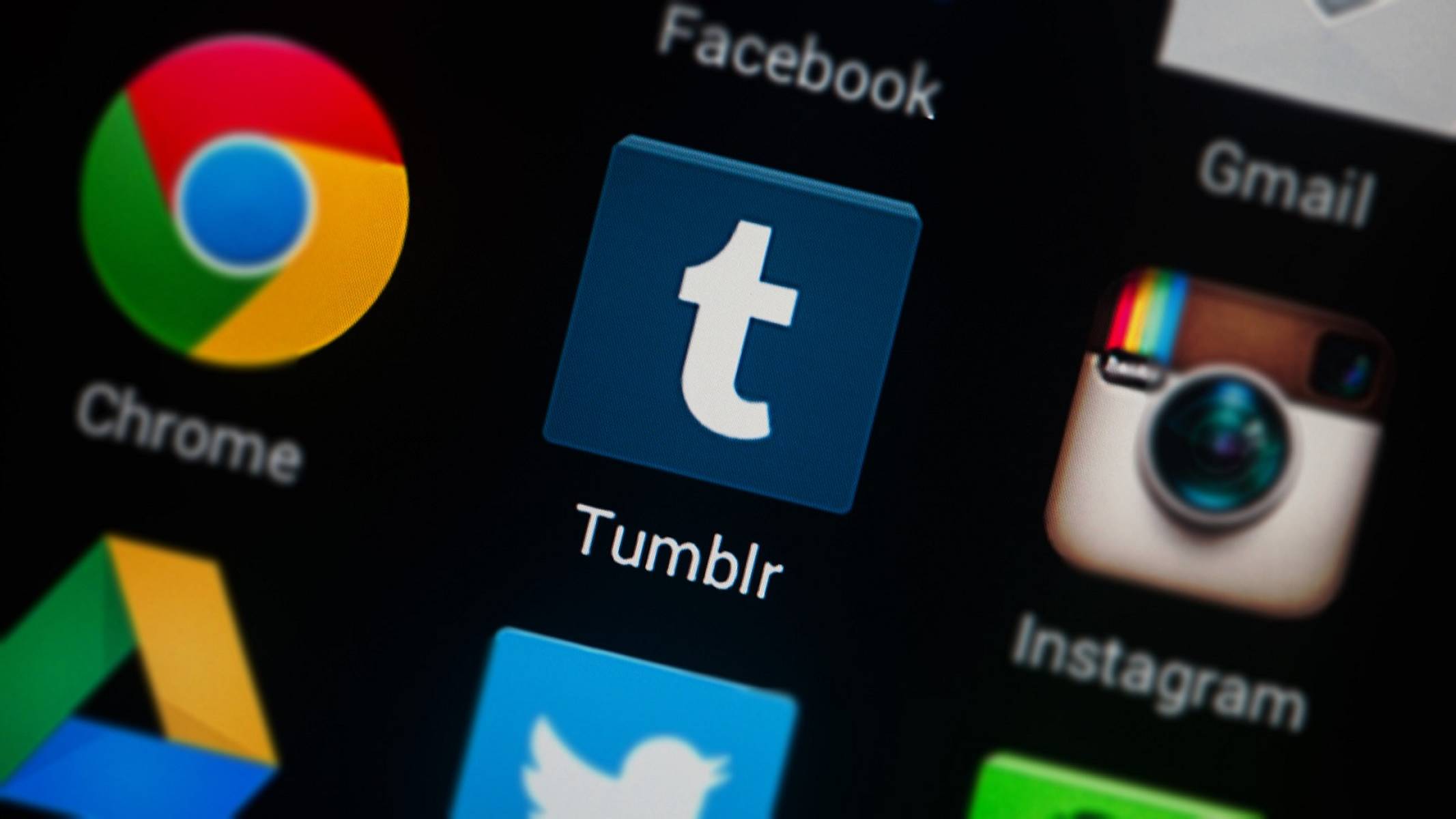 汤不热（Tumblr）官网首页定位与网页版登录全攻略
